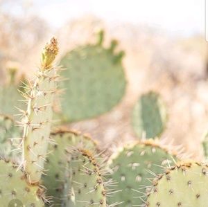 Meet your Posher, Michele